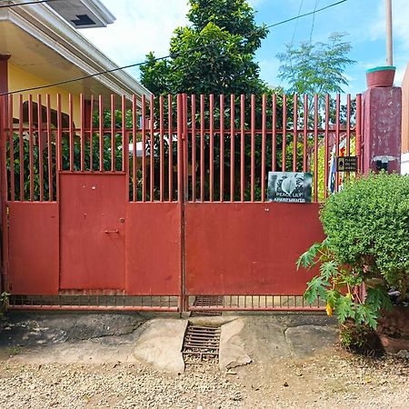 Peace Lily Studio Apartments Panglao Exterior photo