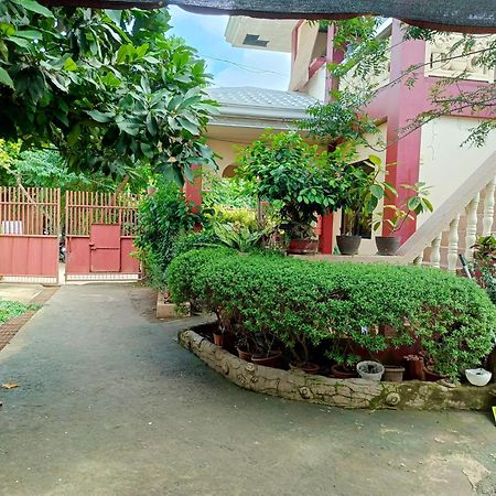 Peace Lily Studio Apartments Panglao Exterior photo
