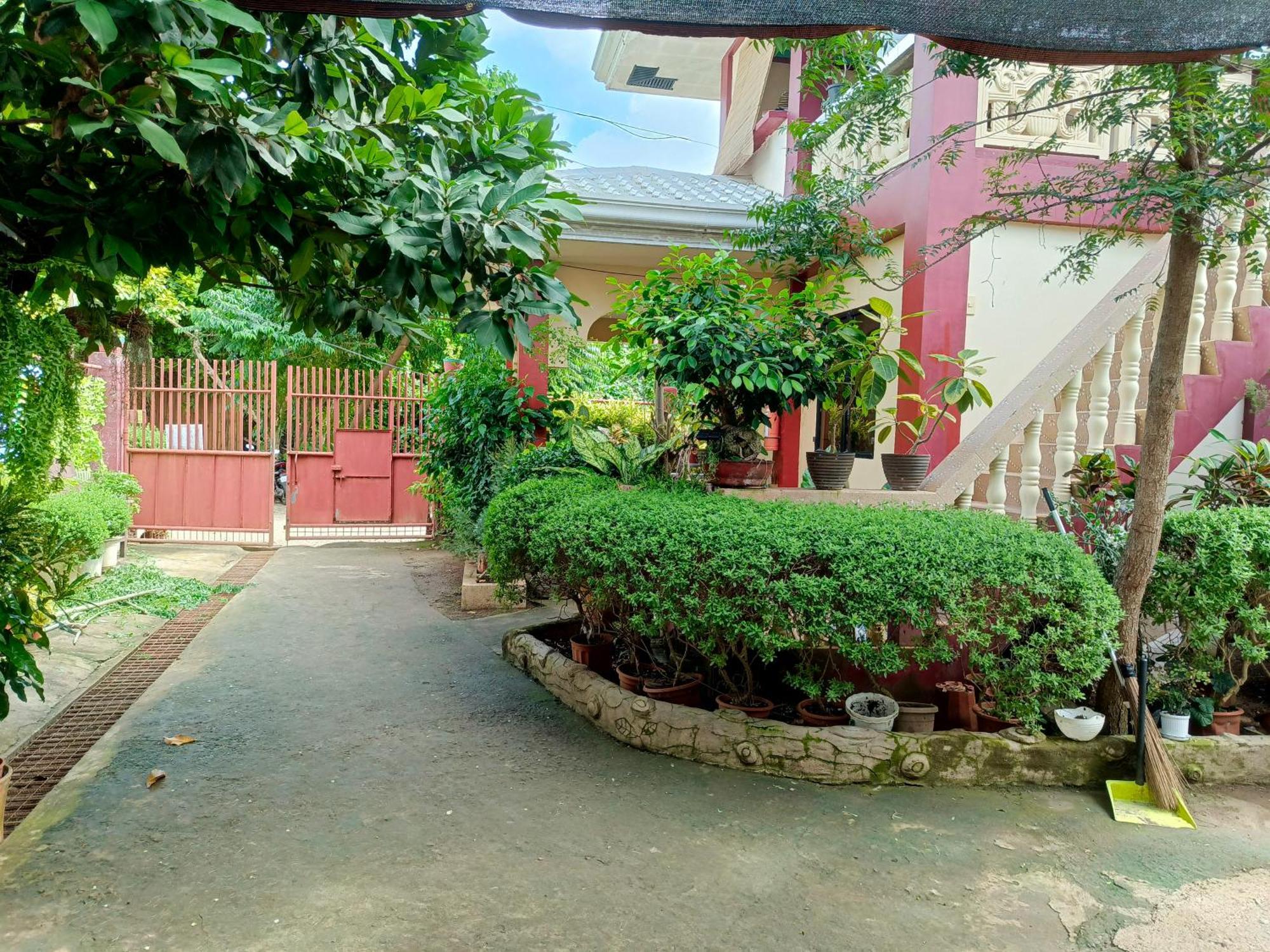 Peace Lily Studio Apartments Panglao Exterior photo