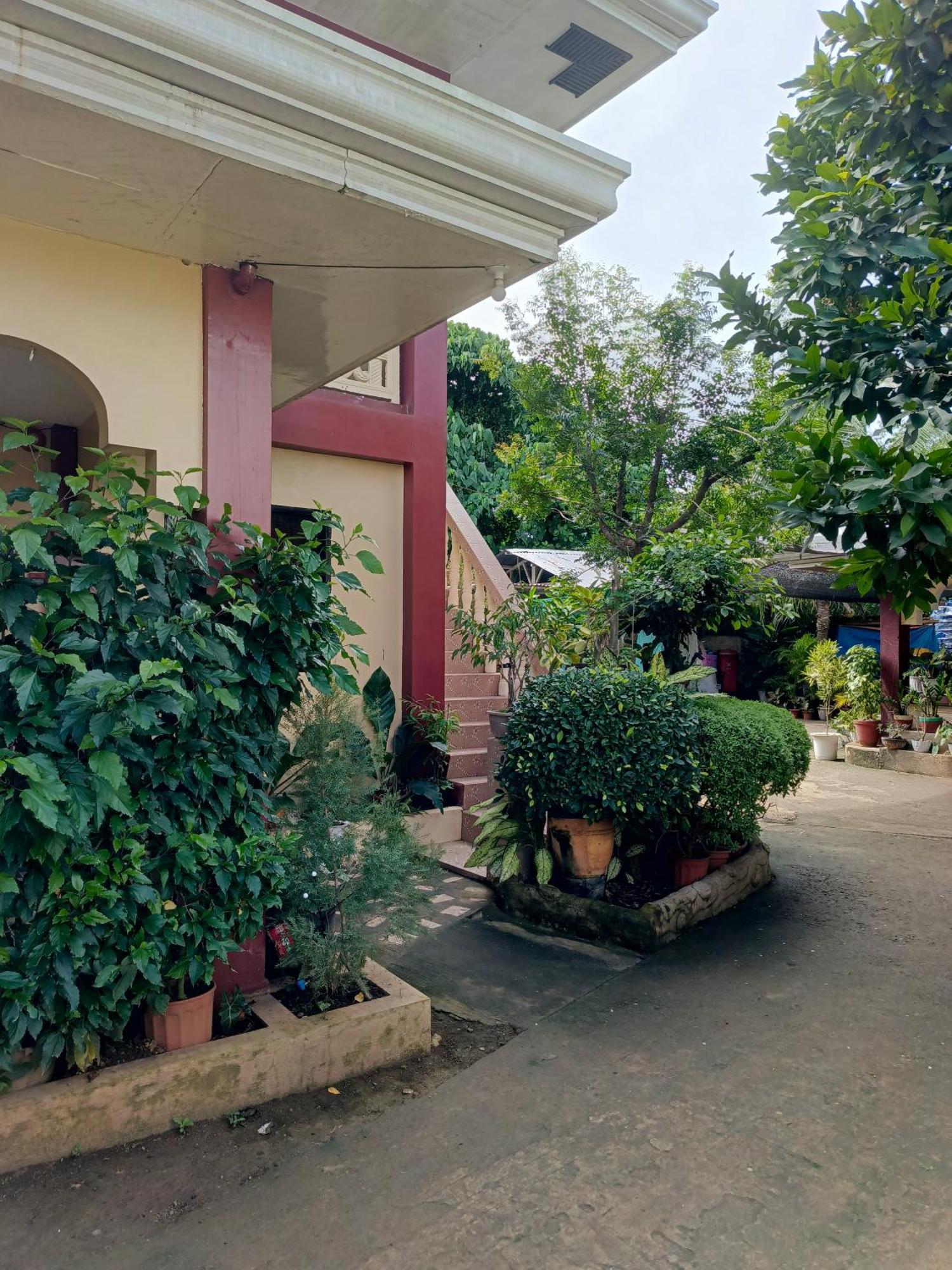 Peace Lily Studio Apartments Panglao Exterior photo