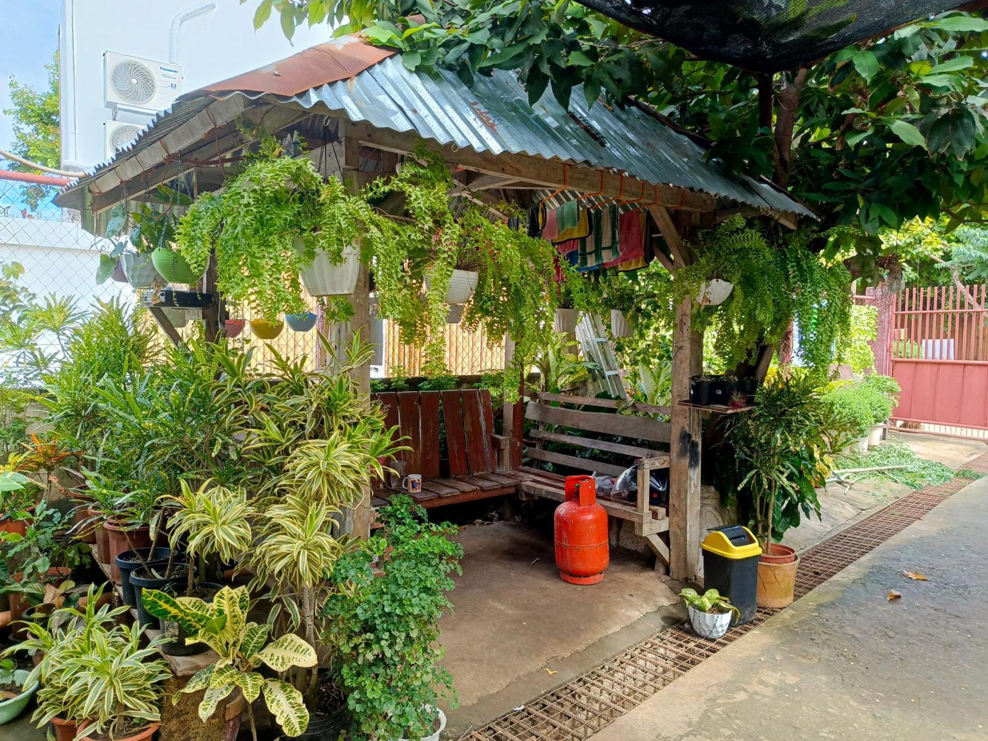 Peace Lily Studio Apartments Panglao Exterior photo